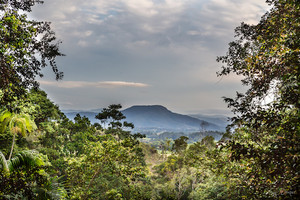 Mt Warning Tweed Valley Mt Warning Tweed Valley