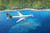 Fiji Airways Aircraft