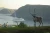 Seven Seas Voyager Cruising Northern Europe