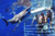 Cage Diving In Oahu