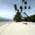 A quiet white-sand Philippines beach lined with windswept coconut palms, with traditional banca outrigger boats moored in the shallows under a soft tropical sky.