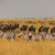Zebra and wildebeest herds moving together through golden savanna grass under a storm-grey sky