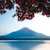 fuji-and-maples — The snow-capped cone of Mount Fuji across a calm lake at first light, framed from above by the branches of a Japanese maple in full red.