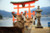 The Mischievous Deer of Miyajima