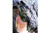 Crocodile at Crocodylus, Northern Territory