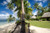 A Bit of Hammock Heaven A Bit of Hammock Heaven