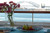 The View From Apartment #1 At Balmain Wharf Apartments 	Photo: Ben Hall and Balmain Wharf Apartments The View From Apartment #1 At Balmain Wharf Apartments 	Photo: Ben Hall and Balmain Wharf Apartments