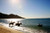 Magnetic Island Horse Riding