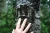 Bear Claw Marks
