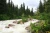 Tongass National Park