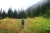 Hiking in Tongass National Park