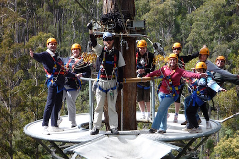 Hollybank Treetops Adventure