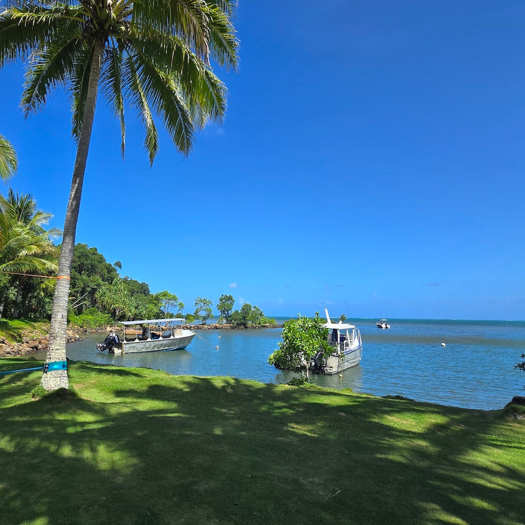 A palm-fringed Fijian lagoon on a clear blue-sky day, with two small day-tour boats moored in calm shallow water and an offshore island in the distance — illustrating Fiji's easy, family-ready Pacific holiday character.