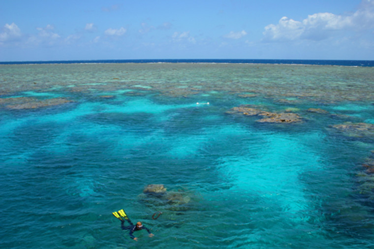 Snorkelling the Great Barrier Reef