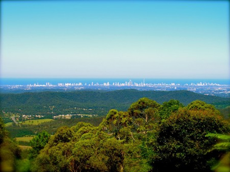 Gold Coast And Hinterland