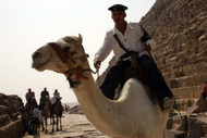 Cops On Camels