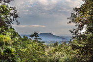 Mt Warning Tweed Valley