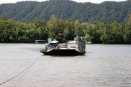 Daintree River Ferry