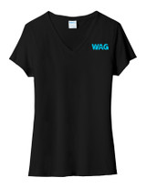 Ladies Tri-Blend V-Neck Tee