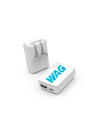 PowerUSB : 20 Watt Dual Port Travel Plug