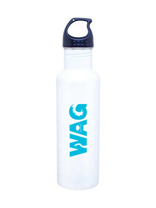 h2go Bolt Single Wall Stainless Steel Water Bottle 24 oz