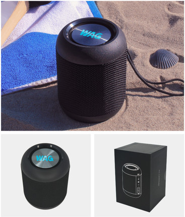 Frequency 2.0 - Wireless Speaker