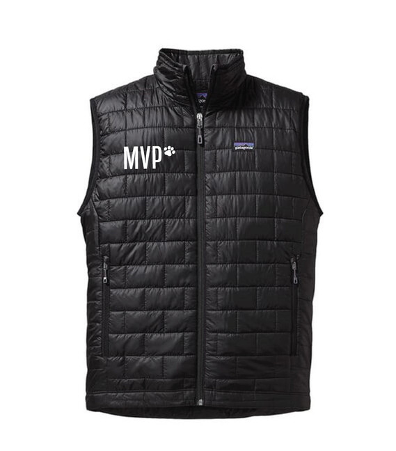 Patagonia Men's NanoPuff Vest