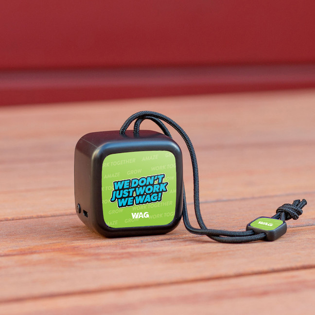 Chyrp Portable Mini Speaker