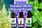 The Amazing Essential Benefits of 3 Top Essential Oils