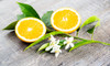 Lavender Neroli Fragrance Oil