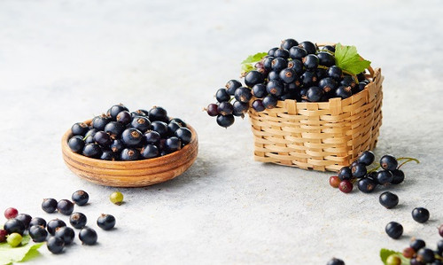 Blackcurrant fragrance oil for candles, soap, reed diffusers