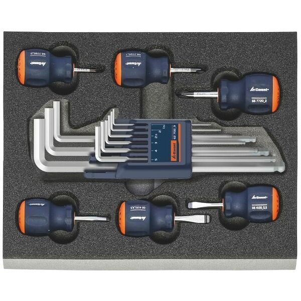 Garant Stubby Screwdriver and LKey Set in Foam Inlay