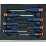 GARANT Screwdrivers for Torx