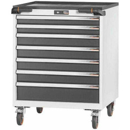 Garant GridLine Rolling Tool Cabinet with Drawers, 26x24G