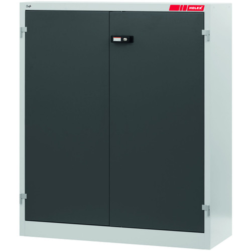 HOLEX Swing door cabinet with plain sheet metal swing doors