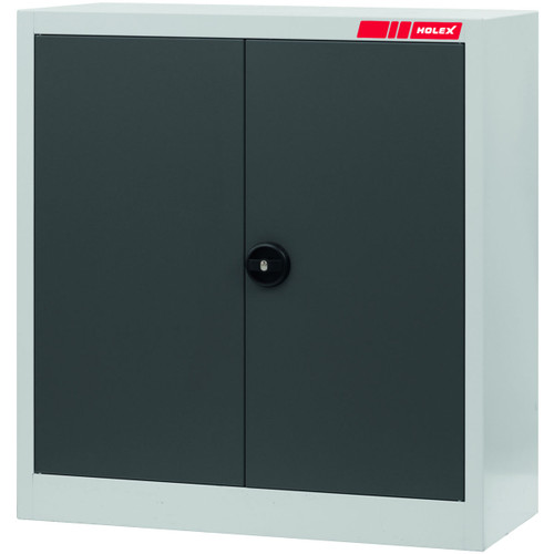 HOLEX Swing door cabinet with Plain sheet metal swing doors
