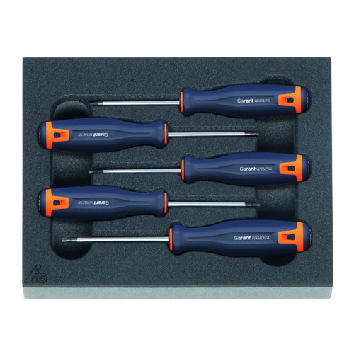 GARANT Screwdriver set for Torx
