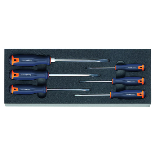 GARANT Screwdriver set