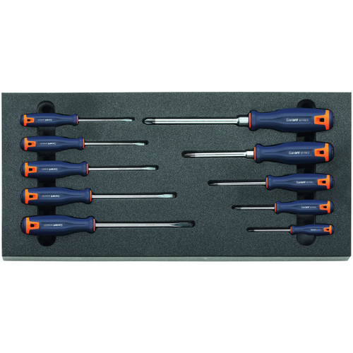 GARANT Screwdriver set
