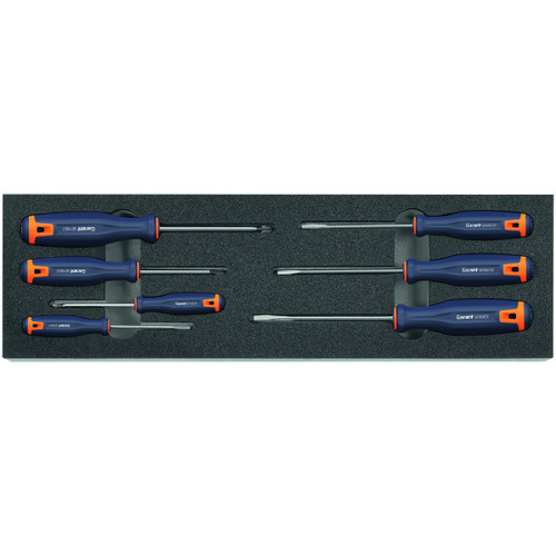 GARANT Screwdriver set