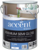 ACCENT INT S/GLOSS WHT