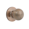 HANDLE KNOB DUMMY PARMA