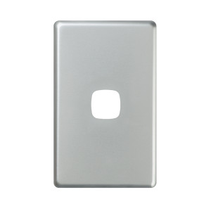 PLATE XL SGL MATT SILVER