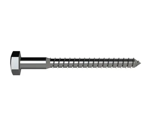 Screw Coach H/H S/Steel M12 x 100mm CSD100SS