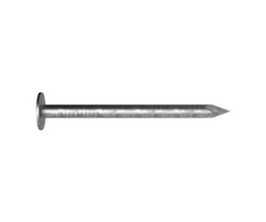 Nail Clout Gal 20 x 2.8mm 250g NCLPG280202 Bremick