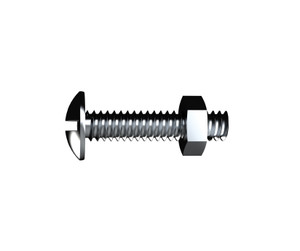 Bolt&nut Mus/h Zp  1/4 x30mm SnapPk10 BMCWZ060303