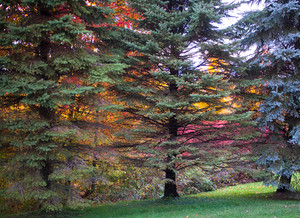 Vermont Stained Glass