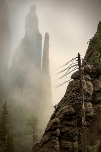 Shrouded Sentinels Cathedral Spires