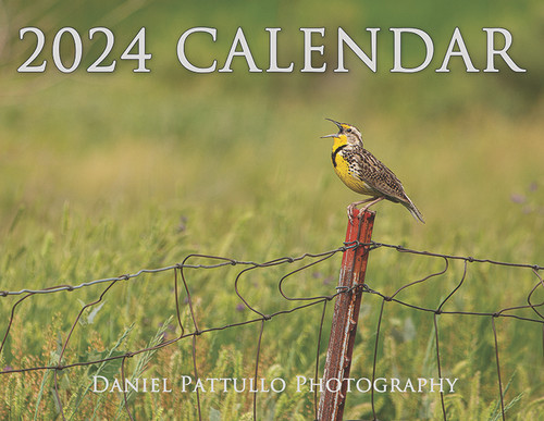 2024 Calendar featuring photography by Daniel Pattullo