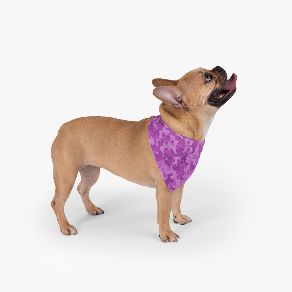 Penny // Dog bandana with pink leo - Hunnishop